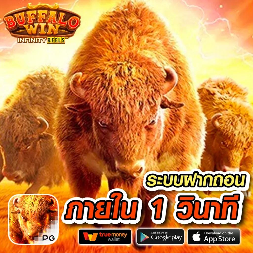 888บอลสด เว็บตรงพนันกีฬาและคาสิโนครบวงจรน่าเชื่อถือ