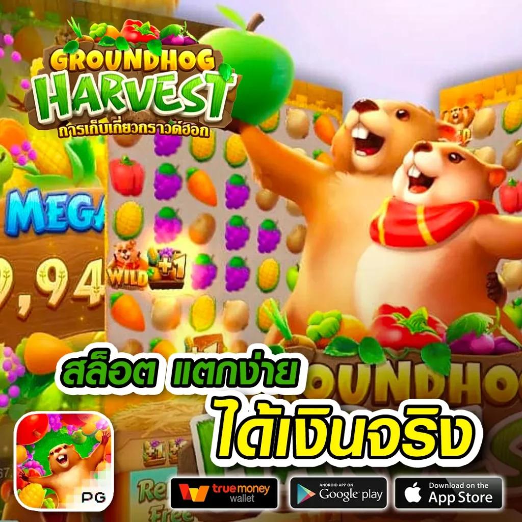เว็บหวยออนไลน์888 vip จ่ายเต็ม ระบบรวดเร็ว คอหวยมั่นใจที่สุด